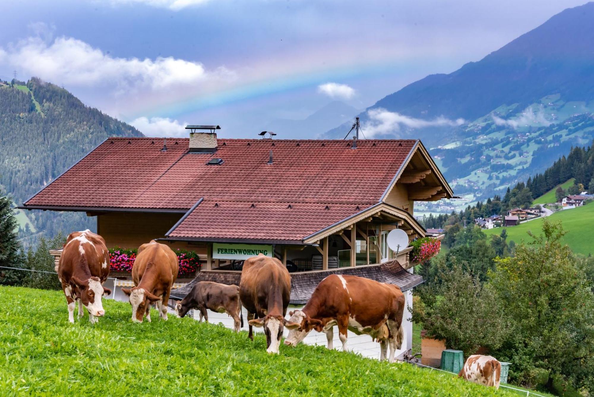 Ferienwohnung Ausblick Zillertal Hainzenberg Bagian luar foto