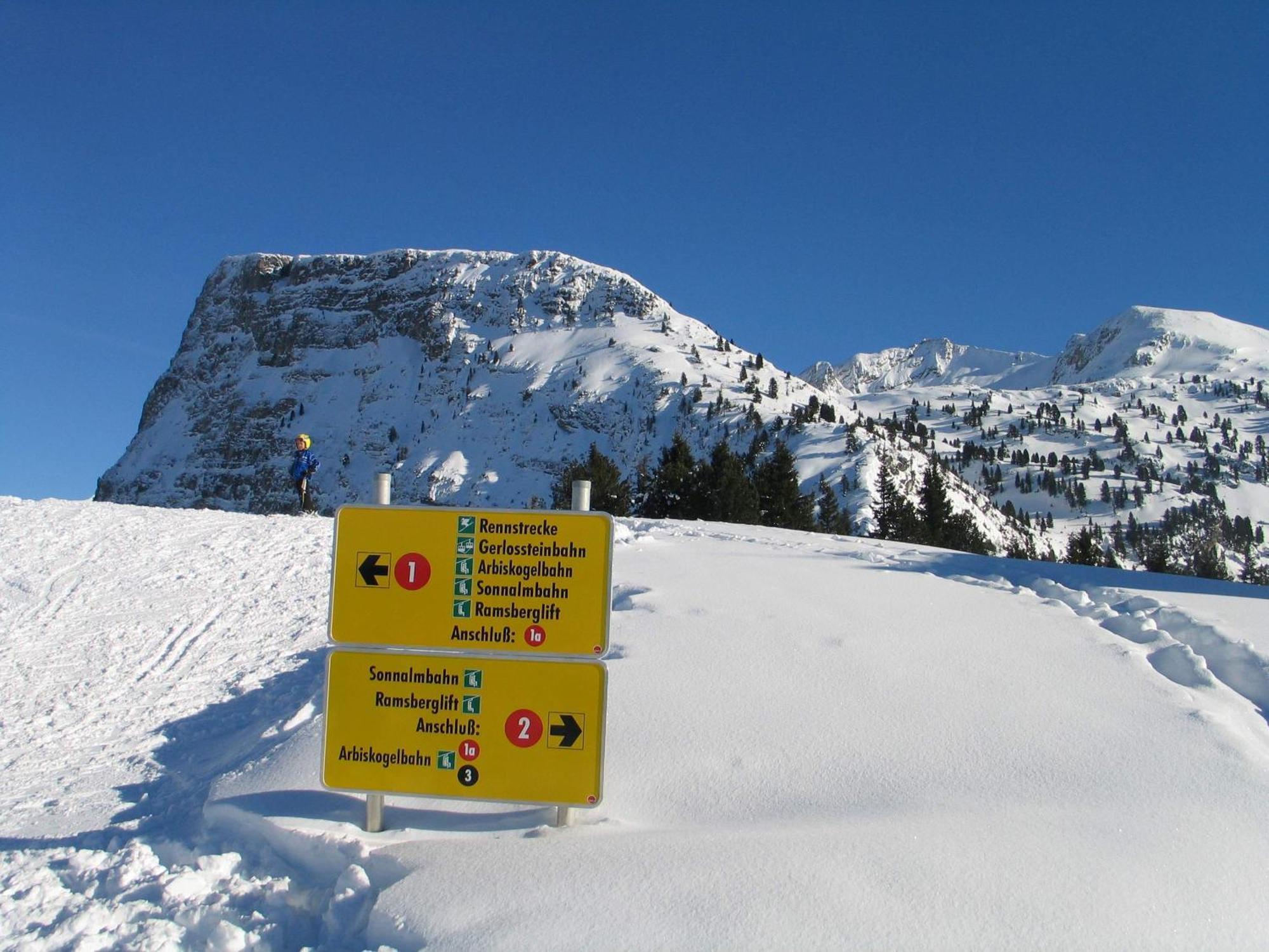 Ferienwohnung Ausblick Zillertal Hainzenberg Bagian luar foto